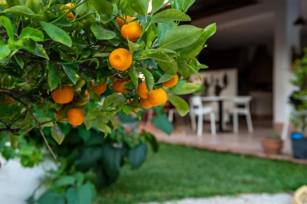 Particolari degli esterni di Villa Megna